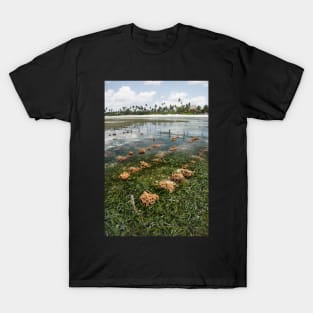 Matemwe Shellfish culture T-Shirt